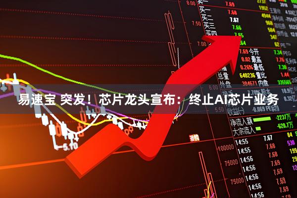 易速宝 突发！芯片龙头宣布：终止AI芯片业务