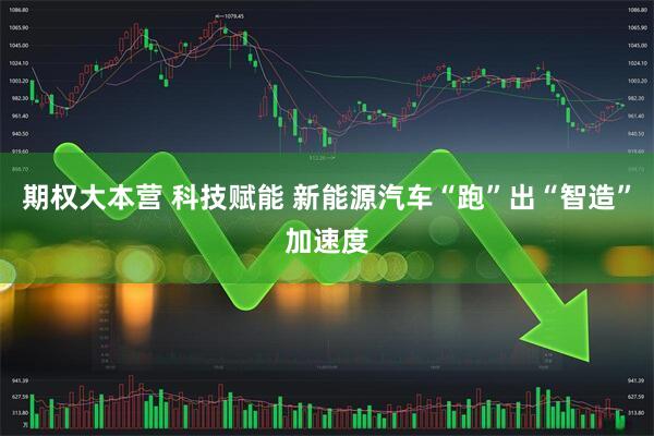期权大本营 科技赋能 新能源汽车“跑”出“智造”加速度