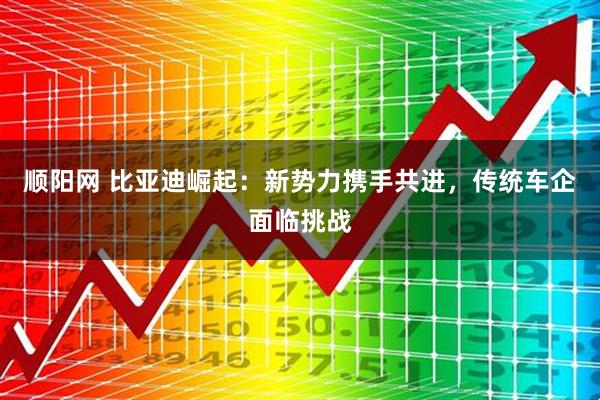 顺阳网 比亚迪崛起：新势力携手共进，传统车企面临挑战