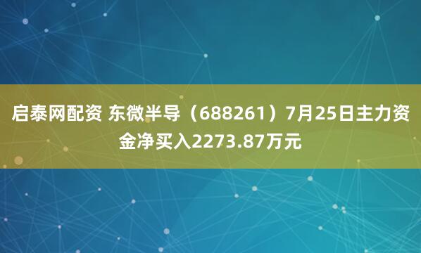 启泰网配资 东微半导（688261）7月25日主力资金净买入2273.87万元