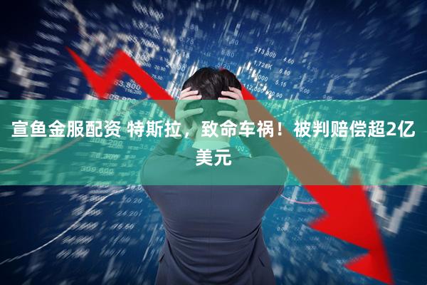 宣鱼金服配资 特斯拉，致命车祸！被判赔偿超2亿美元