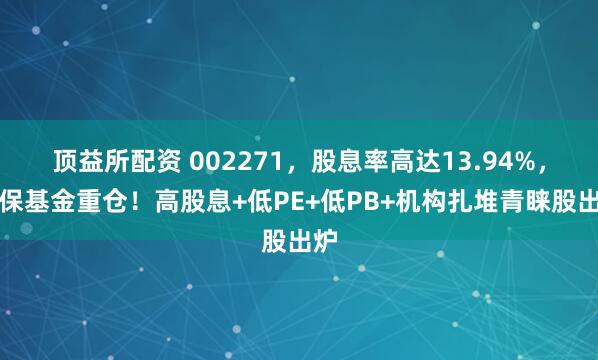 顶益所配资 002271，股息率高达13.94%，社保基金重仓！高股息+低PE+低PB+机构扎堆青睐股出炉