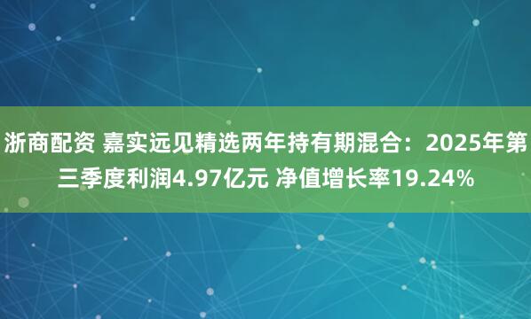 浙商配资 嘉实远见精选两年持有期混合：2025年第三季度利润4.97亿元 净值增长率19.24%