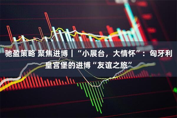 驰盈策略 聚焦进博｜“小展台，大情怀”：匈牙利皇宫堡的进博“友谊之旅”